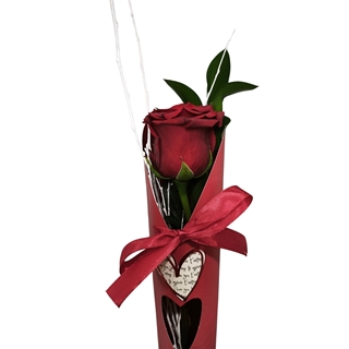 CONO ROSA - Imagen 2