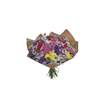 RAMO SILVESTRE - Imagen 1